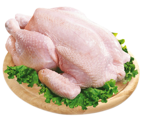 Taze Tavuk Görseli